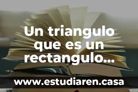 Qué es un cartel publicitario para niños de primaria 4 Un triangulo que es un rectangulo clase primaria