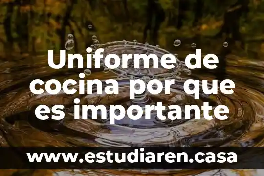 Que es el movimiento rectilíneo uniforme acelerado 5 Uniforme de cocina por que es importante