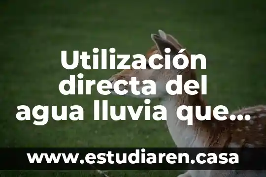 Utilización directa del agua lluvia que es