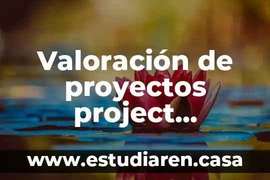 Qué es el inba y cual es su función 5 Valoración de proyectos project appraisal que es