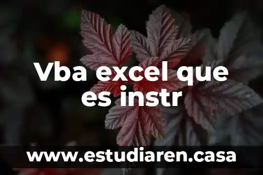 Vba excel que es instr