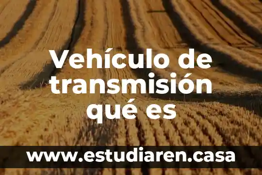 Por que es importante aprender a manejar vehiculo 7 Vehículo de transmisión qué es