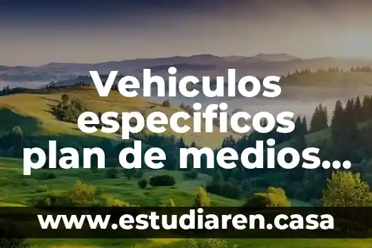Internación temporal de vehículos que es 6 Vehiculos especificos plan de medios que es