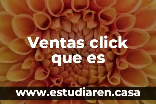 Que es un gerernte de ventas 8 Ventas click que es
