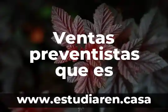 Ventas preventistas que es