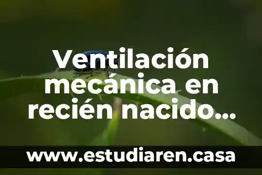 Mecánica de fluidos que es un proceso 6 Ventilación mecánica en recién nacido que es