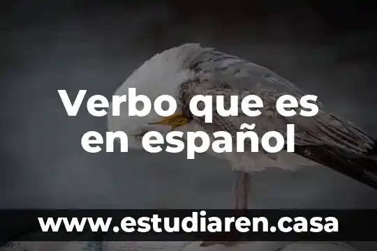 Wannabe que es en español 6 Verbo que es en español