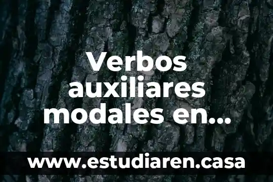 Verbos auxiliares modales en inglés ejemplos
