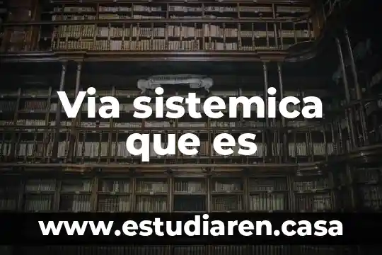 Que es planeación sistemica 5 Via sistemica que es