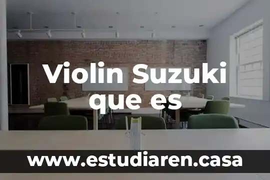 Violin Suzuki que es