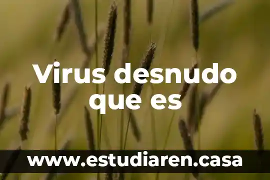 Qué es un galvanómetro y cómo está constituido 8 Virus desnudo que es