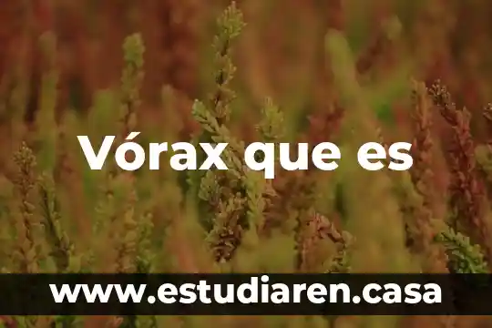 Vórax que es