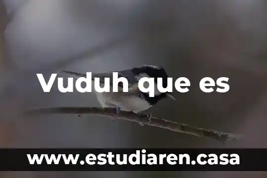 Vuduh que es