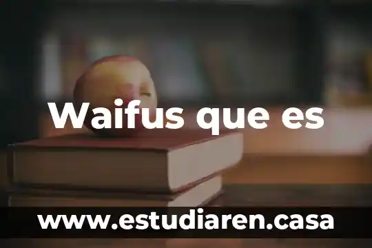 Que es wpsettings.dat 6 Waifus que es
