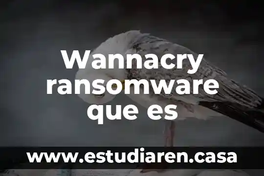 Wannacry ransomware que es