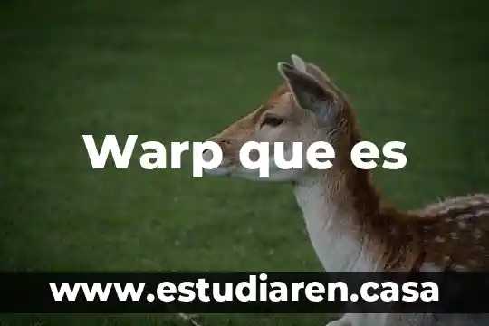 Warp que es