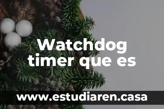Que es valance organico redox 7 Watchdog timer que es