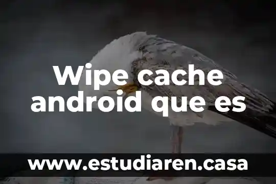 Que es datos de cache celular 7 Wipe cache android que es