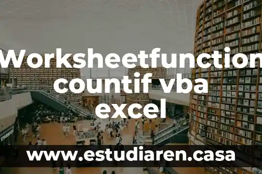 Worksheetfunction countif vba excel
