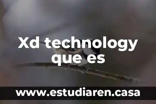 Xd technology que es