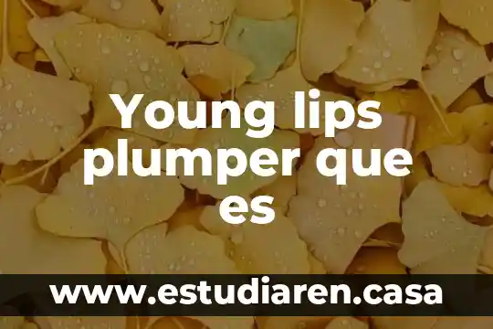 Qué es un galvanómetro y cómo está constituido 7 Young lips plumper que es