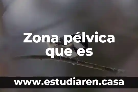 Zona pélvica que es